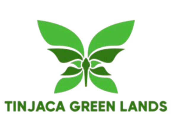 Tinjacá Green Lands